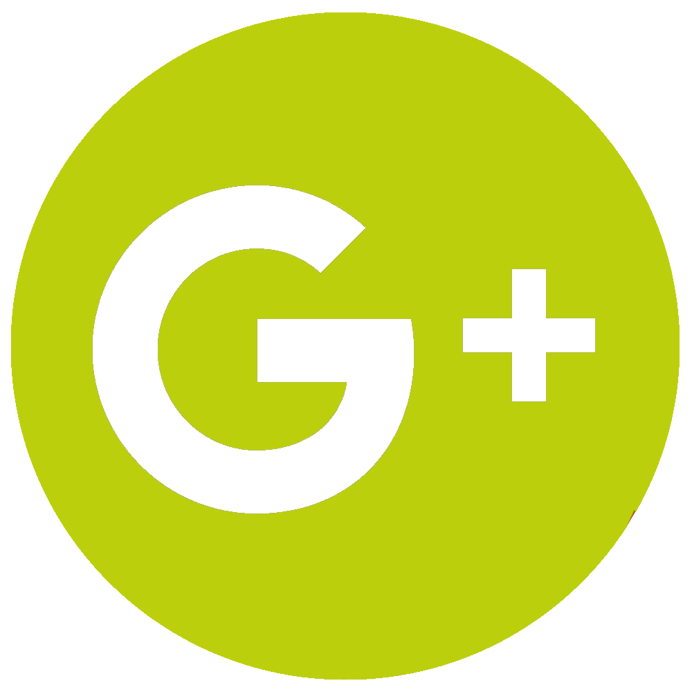 logo google plus vert